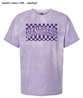 Panthers Comfort Colors Shirt